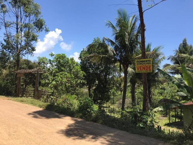 Fazenda na estrada Ilhéus/ Sambaituba - Foto 3