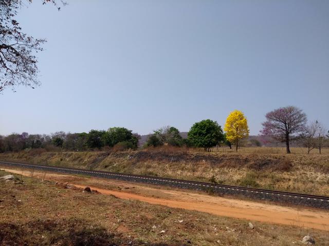 Vende se chácaras na Beira do Rio Capivari - Foto 5