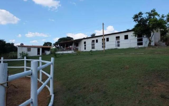 Vendo Esta Fazenda - Foto 5
