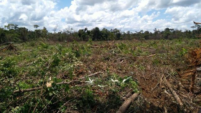 Fazenda em Marcelândia - Foto 13