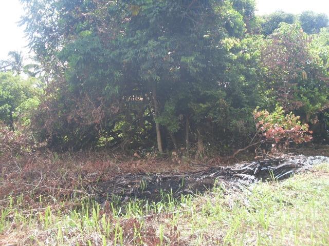 Terreno na Rodovia / Ilhéus/Itacaré - Km 25 Loteamento Luzimares Quadra 04 - Lote 32 - Foto 6