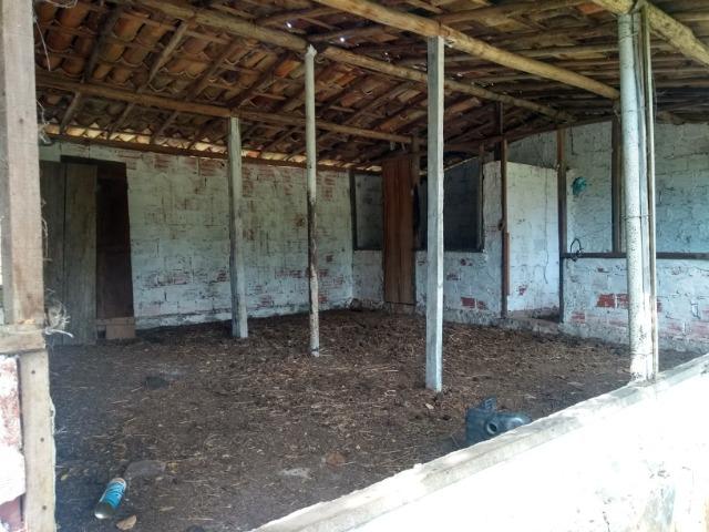 Vendo fazenda com 125 tarefas em Pojuca - Ba - Foto 5