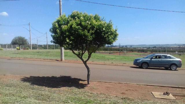 Loteamento/condomínio à venda em Parque tecnológico damha i são carlos, São carlos cod:939 - Foto 4