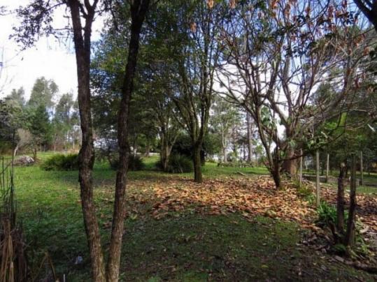 Terreno para alugar em Granja das acacias, Quatro barras cod:13074001 - Foto 6