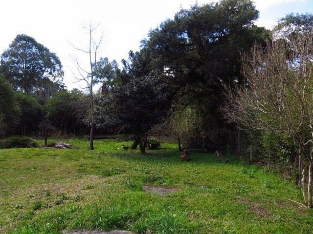 Terreno para alugar em Granja das acacias, Quatro barras cod:13074001 - Foto 4