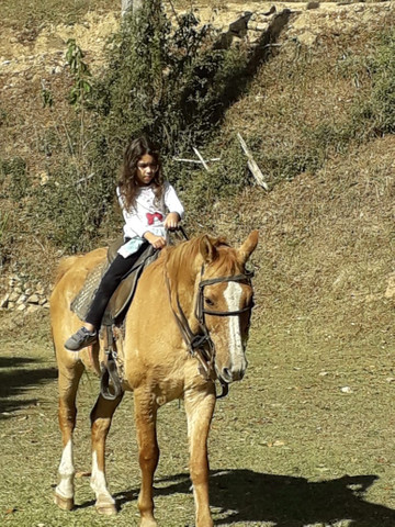Vendo muito manso para criança - Foto 2