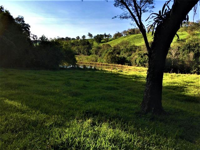 Sítio em Céu Azul - Foto 9