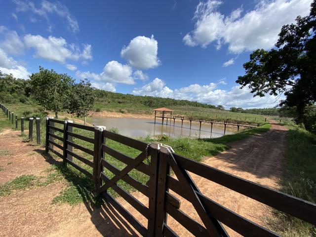 Excelente Fazenda para criação de gado - Foto 10