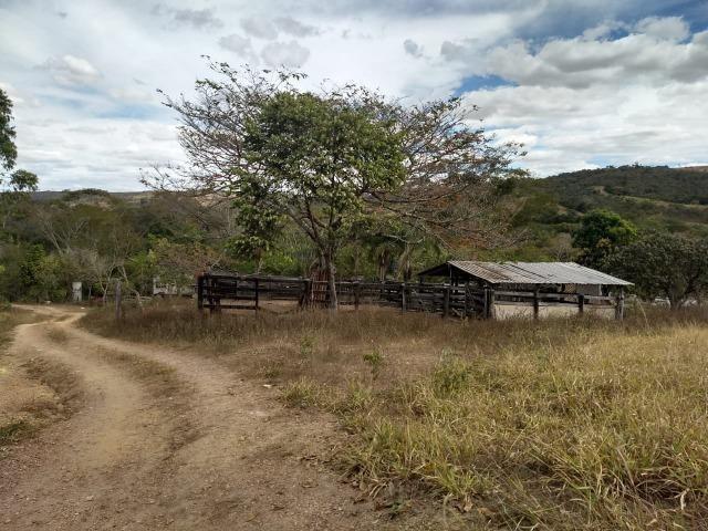 Fazenda Escriturada 90 Hect as Margens do Rio Areia Localizado Santo Antônio do Descoberto - Foto 6