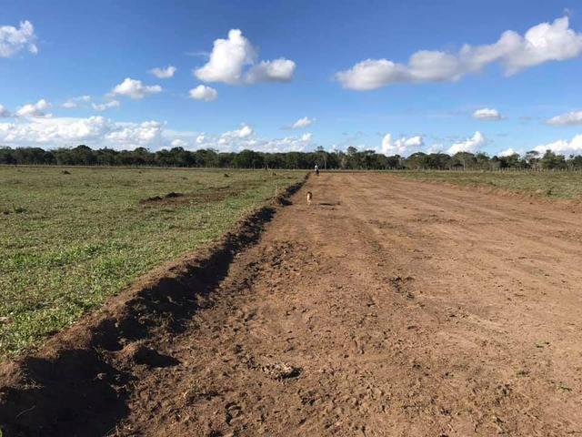 Chácaras palmeira - 2.000 m2 - entrega imediata - parcelas a partir de r$197,33 fixas - Foto 2