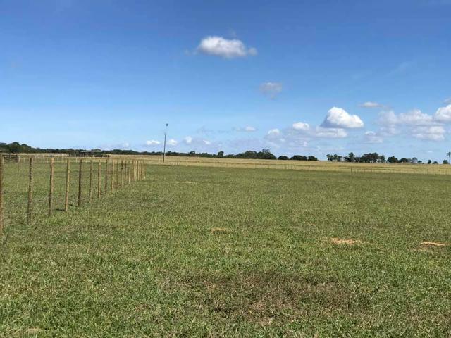 Chácaras palmeira - 2.000 m2 - entrega imediata - parcelas a partir de r$197,33 fixas - Foto 4