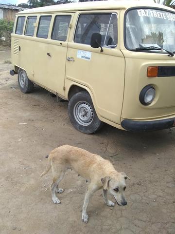 Combi - Foto 3