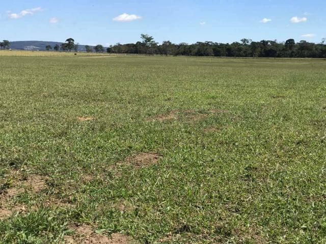Chácaras palmeira - 2.000 m2 - entrega imediata - parcelas a partir de r$197,33 fixas - Foto 3