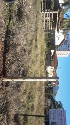 Vasques Jardinagem - Foto 4
