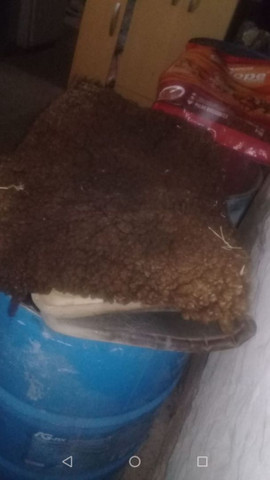 Vendo sela usada leia a descrição abaixo - Foto 4
