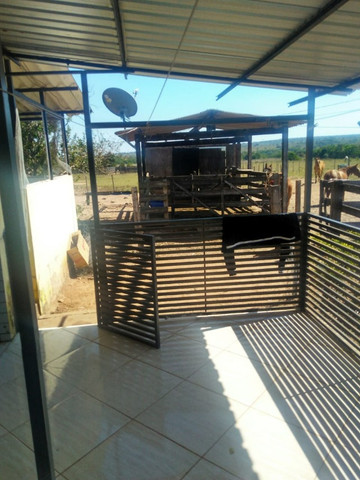 Linda Fazenda com 206 Hectares Campo Grande - Foto 12