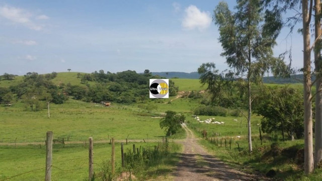 Vendo Excelente Sitio em Torre de Pedra ao lado Fazenda Sao Jorge