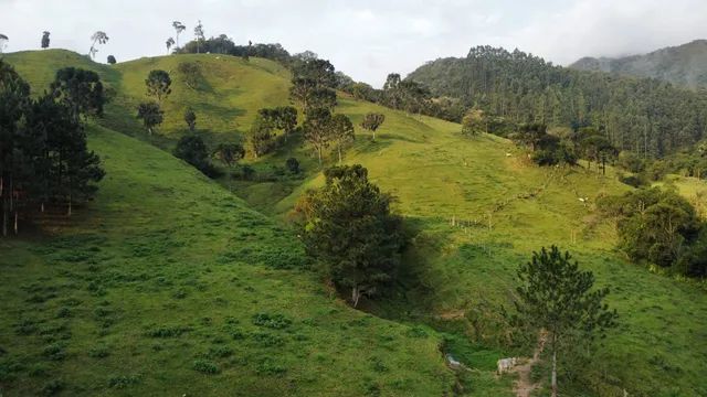 ANITÁPOLIS/SC - Belíssimo terreno com 40hectares  - Foto 4