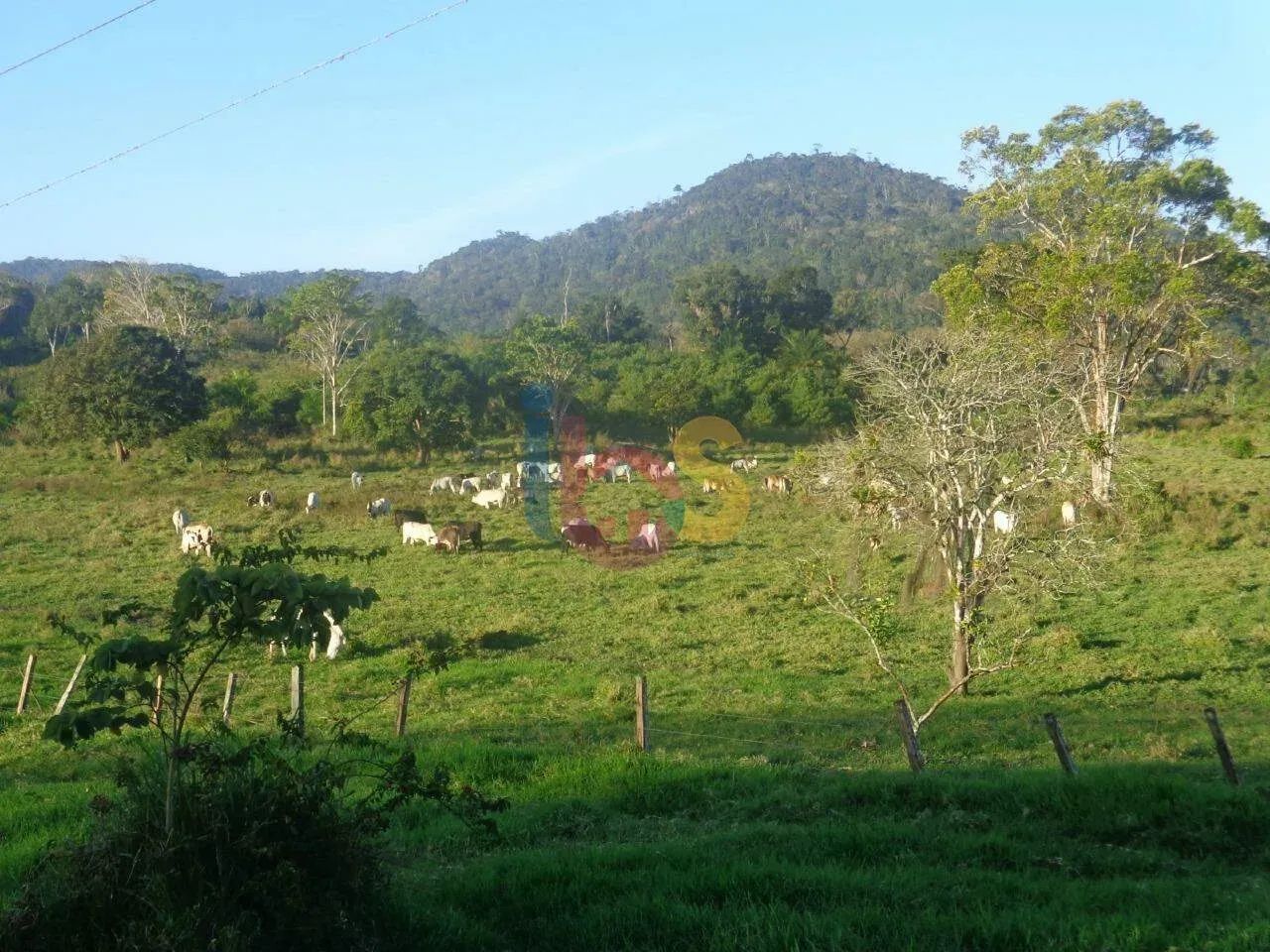 Fazenda Maranata - Foto 2