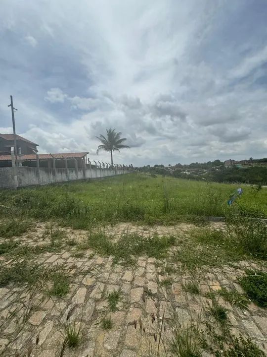 LOTE 10X25 DOCS OK - Foto 4