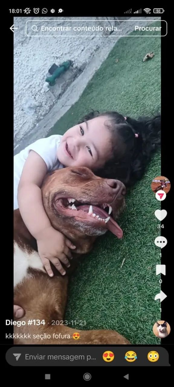 Doação responsável  - Foto 5