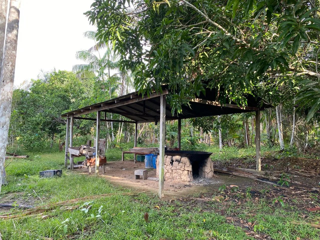 Sítio produtivo no Rio Uatumã 