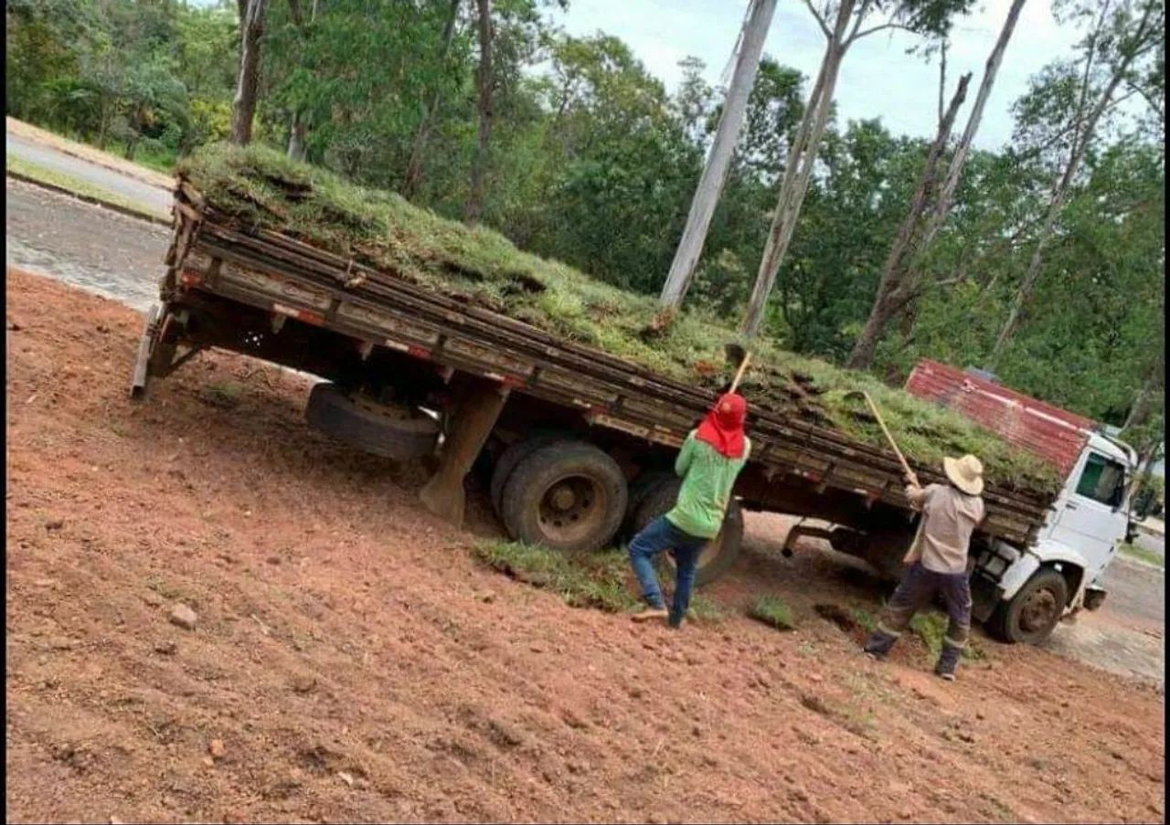 Grama para jardim - a partir de 6,99 ó m2 já plantado com calcário/adubo. - Foto 4