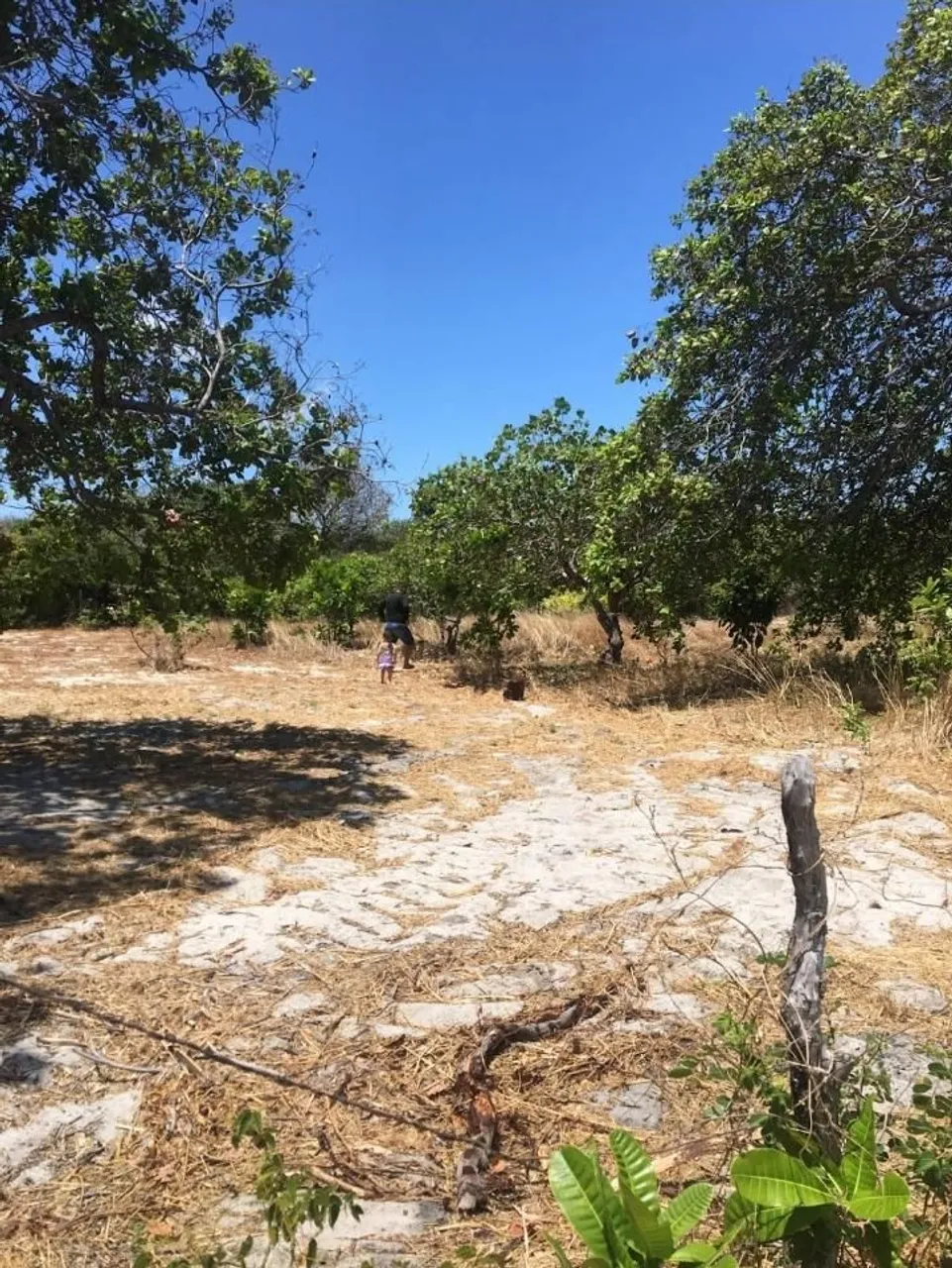 Terreno Próximo a Praia e Lagoas. Beberibe