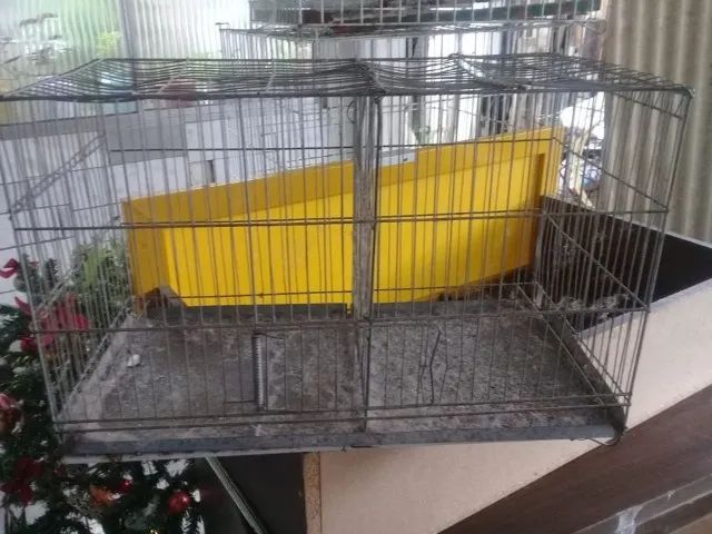 Canil Gaiola para Pets - Foto 3