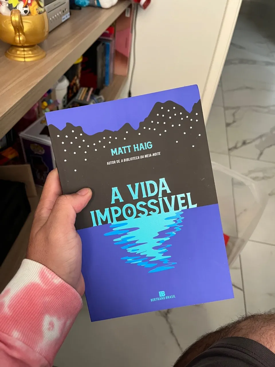 A Vida Impossível - Matt Haig