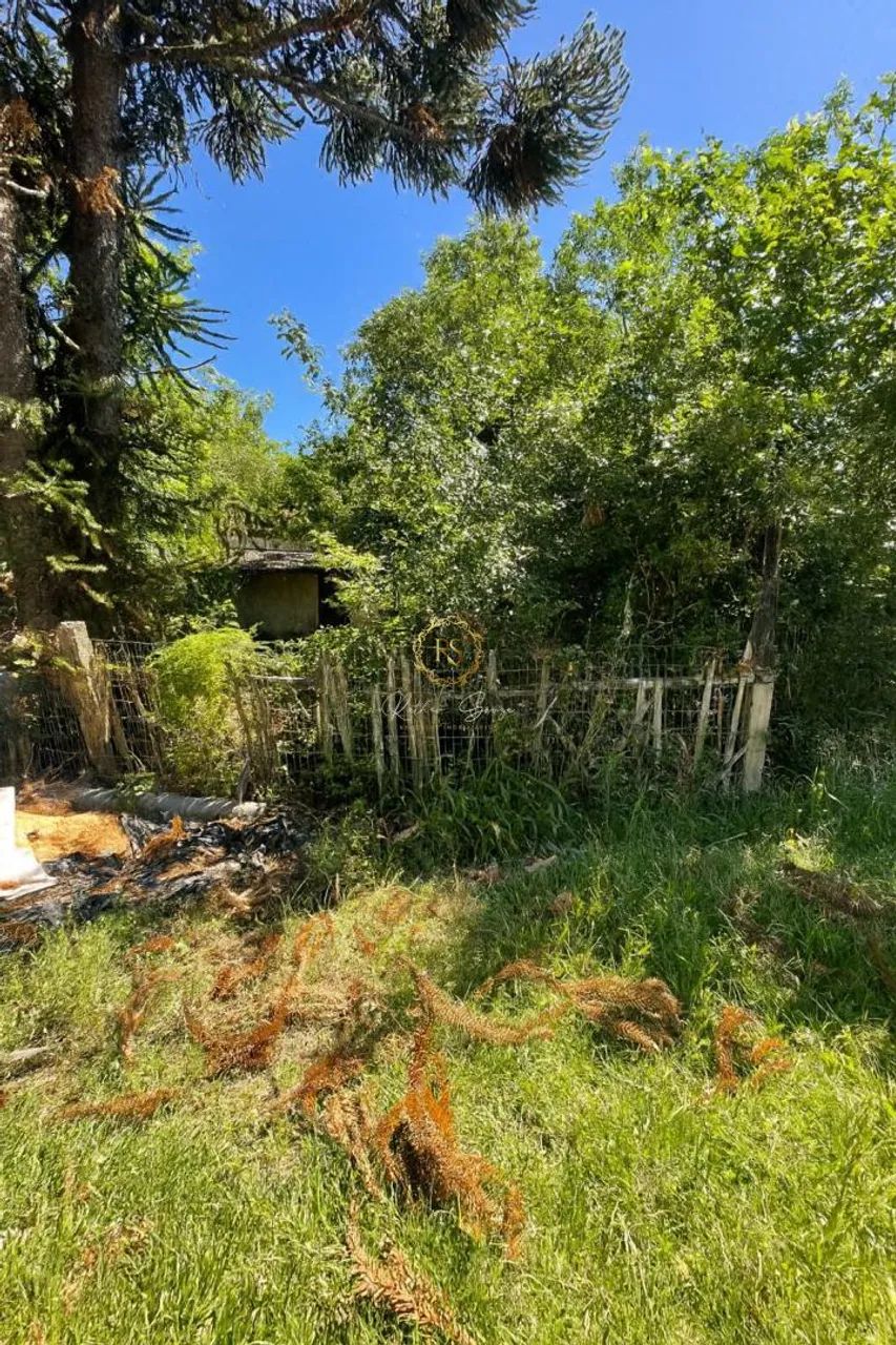 Terreno à Venda no bairro Berto Círio em Nova Santa Rita - Oportunidade única! REF: AR0001 - Foto 5