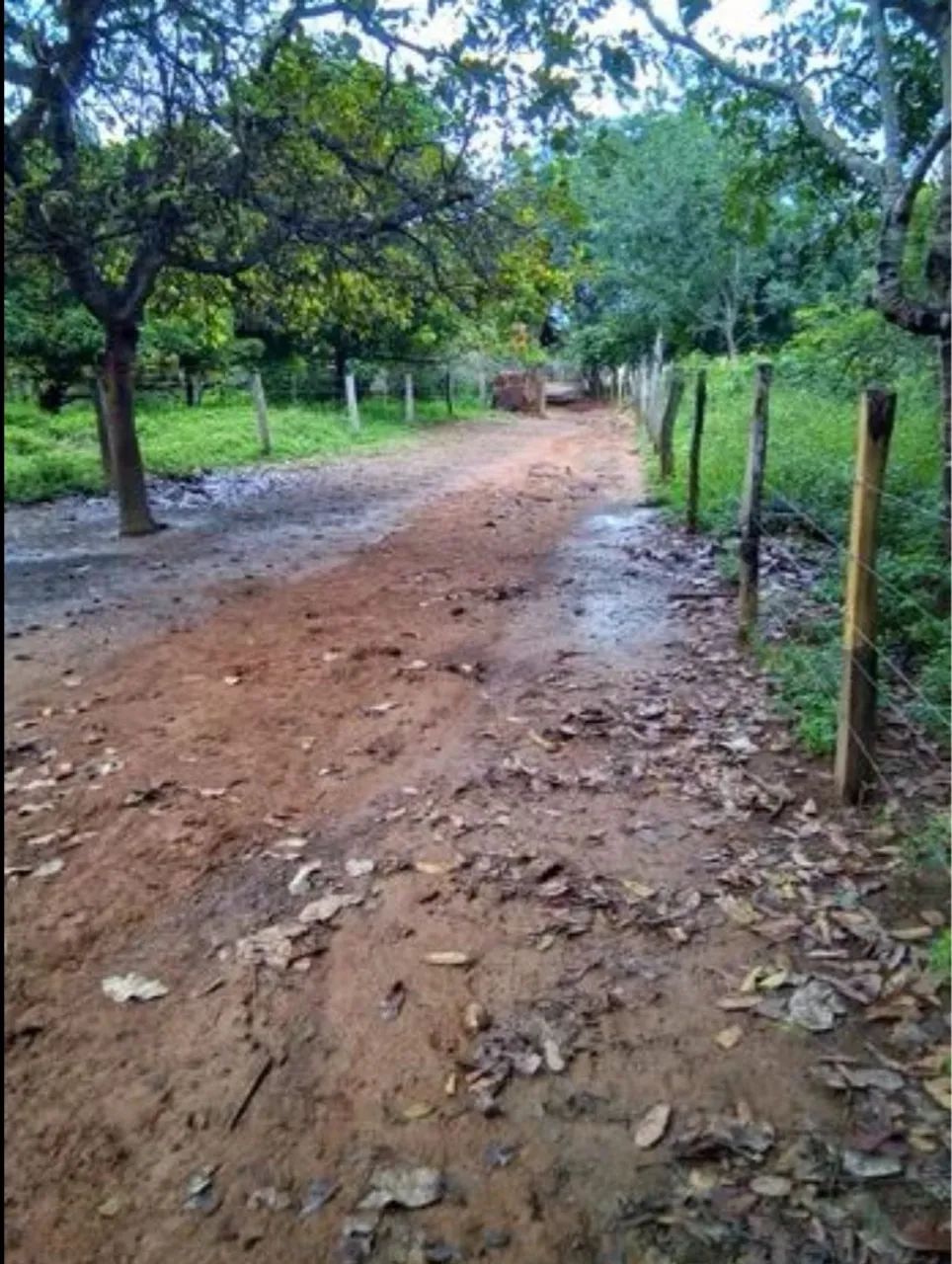 Chácara/Fazenda de 37 hectares - Porto Nacional - TO - Permuta casa em Palmas-TO - Foto 8