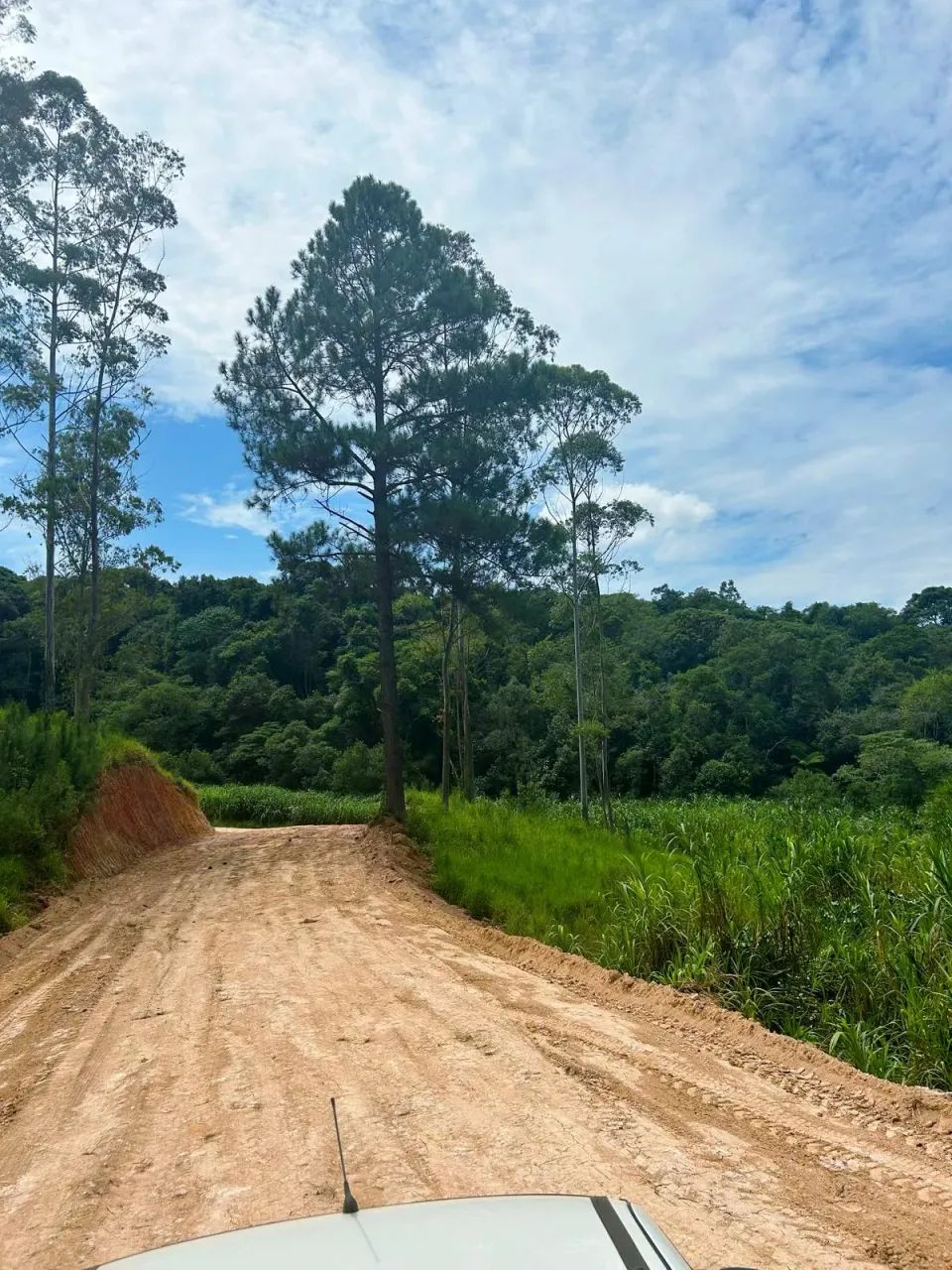 Lago para pesca, trilha e playground  Tudo para sua família! - Foto 5