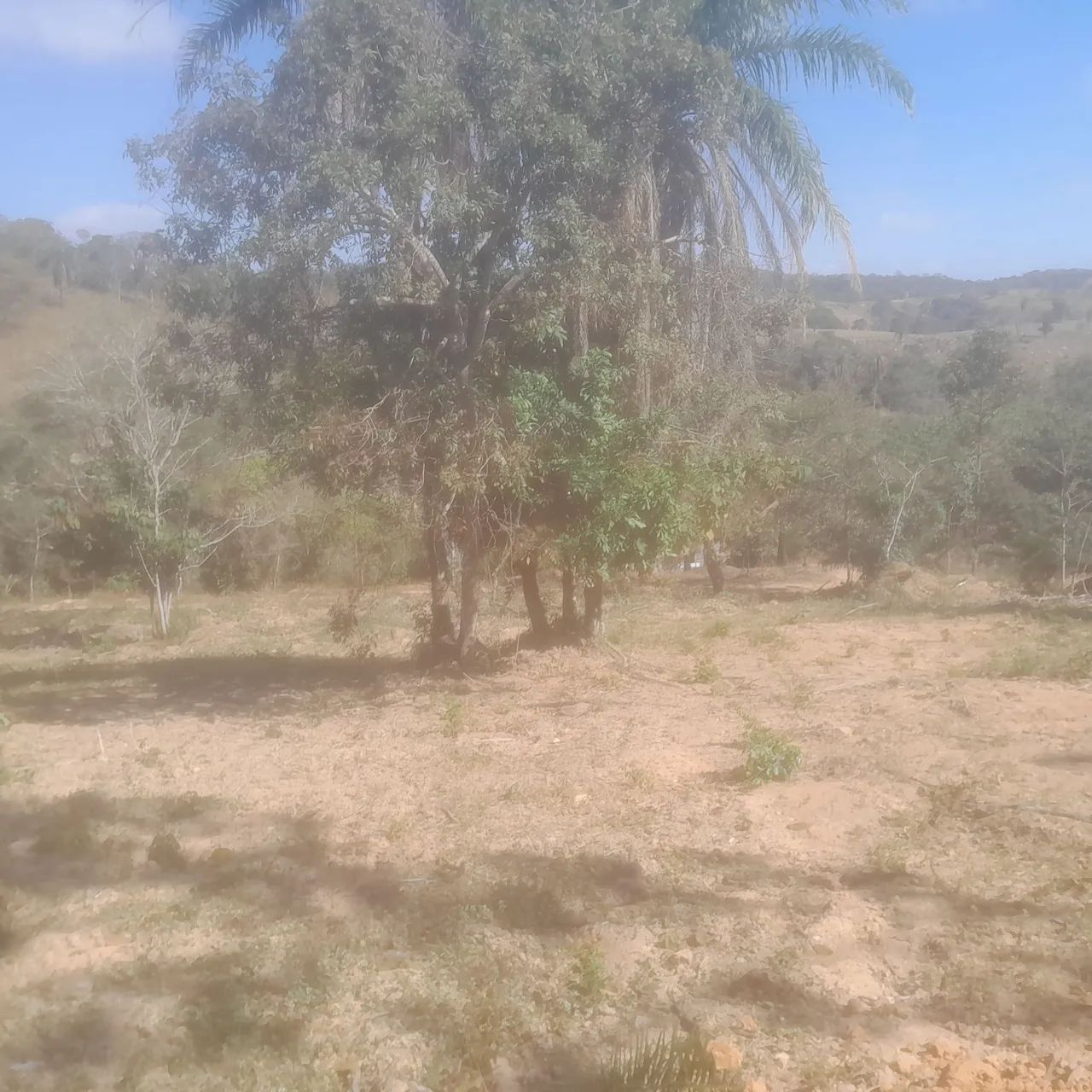 Chacara rural no sítio novo  - Foto 2