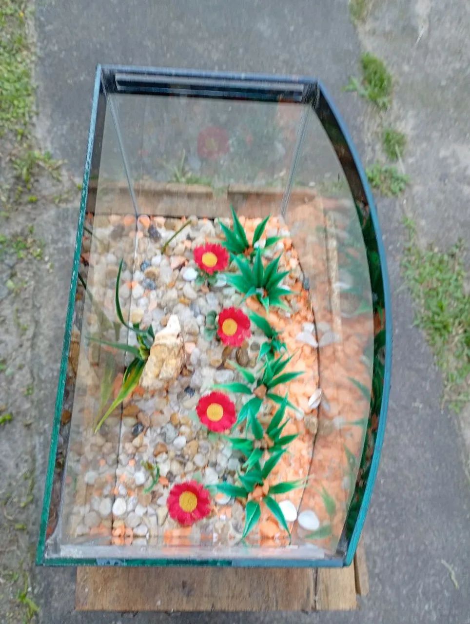 Aquario.25x18x15 - Foto 3