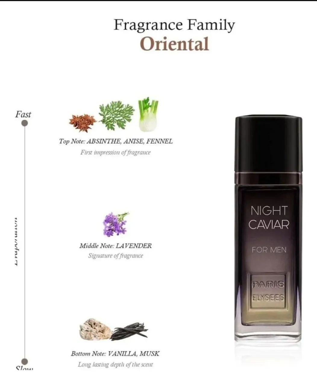 Perfume Night Caviar For Men - Paris Elysees-Novo - Foto 3