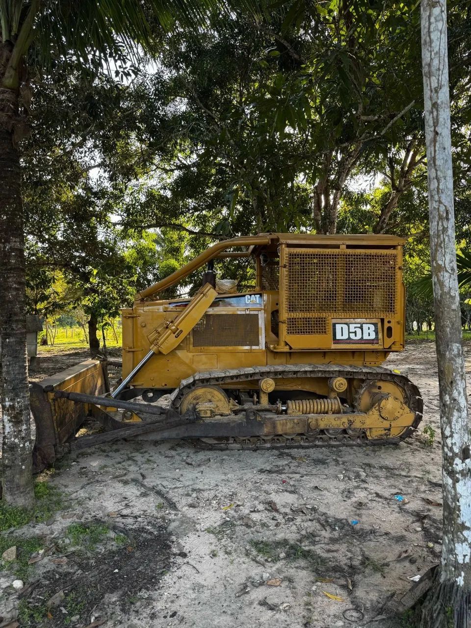 Agro industria - Foto 6