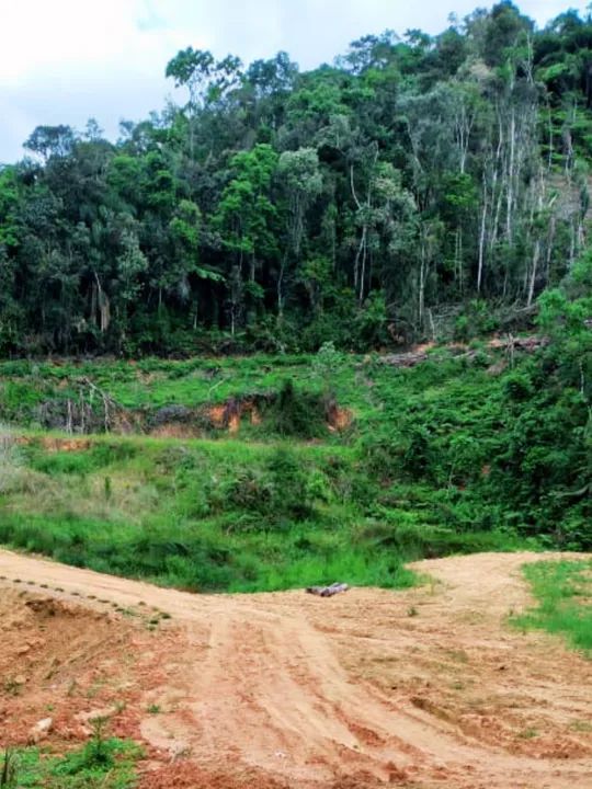 Oportunidade Imperdível em Angelina - SC! - Foto 3