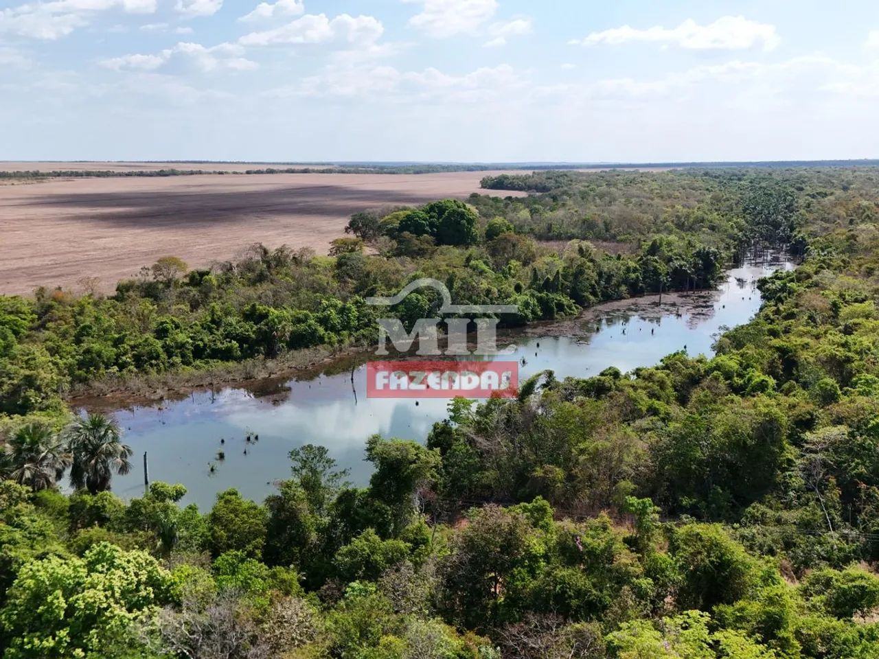 Fazenda 100 Alqueires (484 Hectares) Alvorada - TO - Foto 3