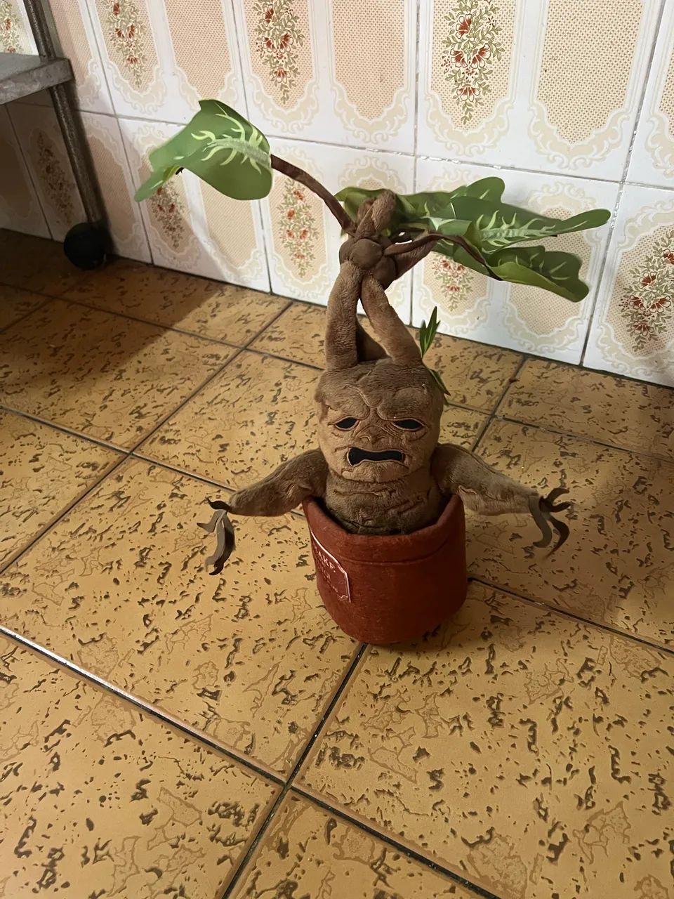 Vendo mandrake original  - Foto 2