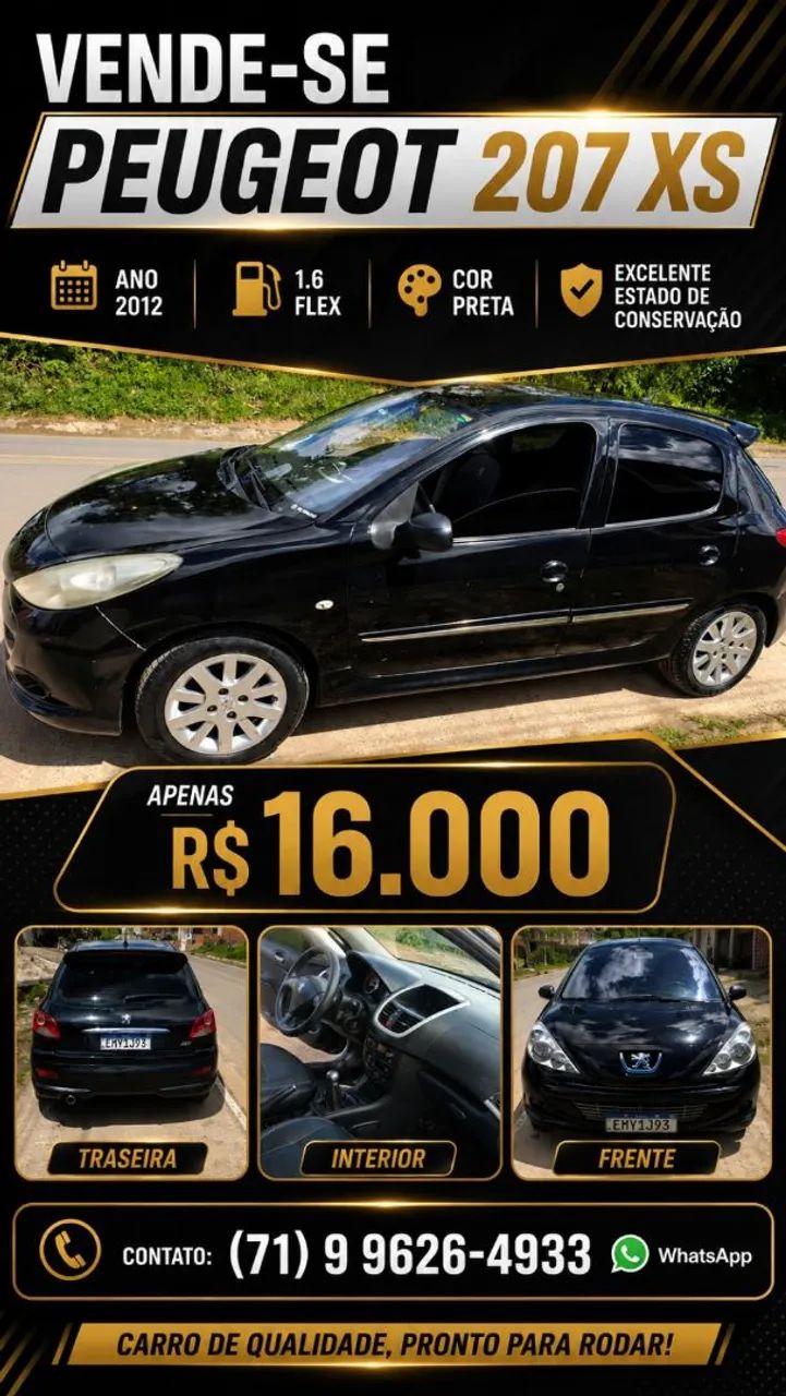 Peugeot 207 207 XS 1.6 Flex 16V 5p 2012