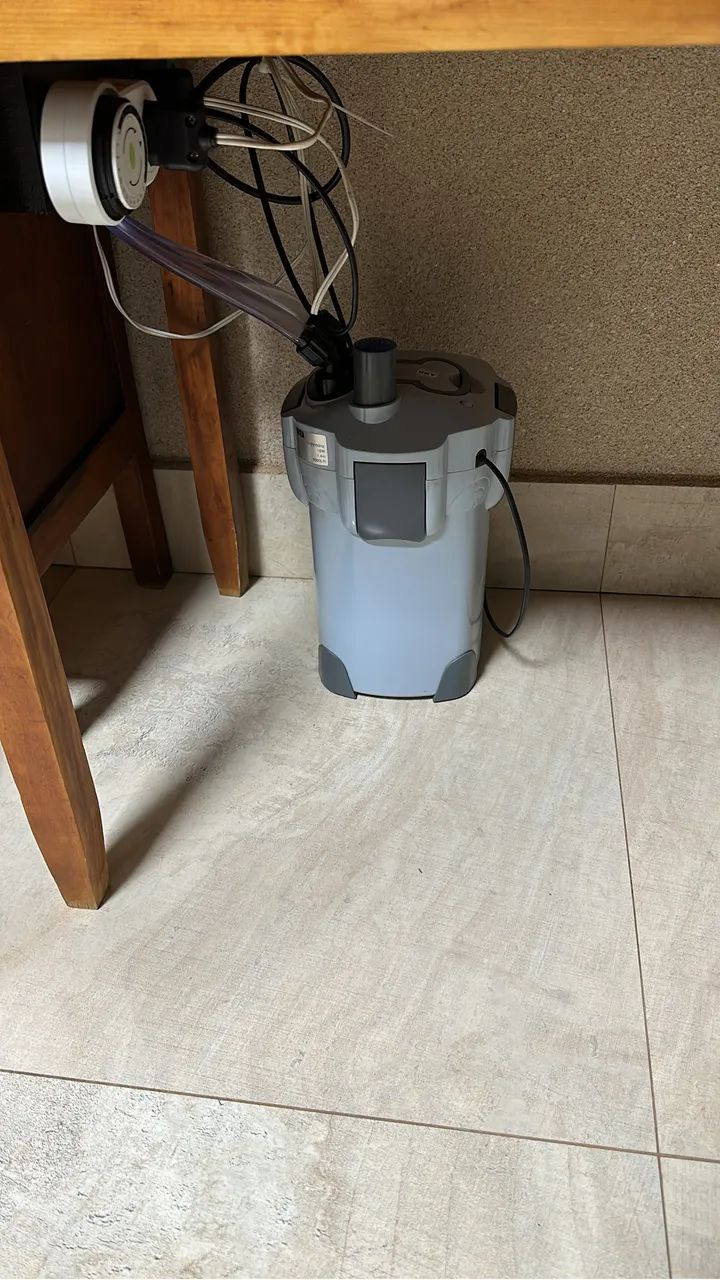 AQUÁRIO  - Foto 4