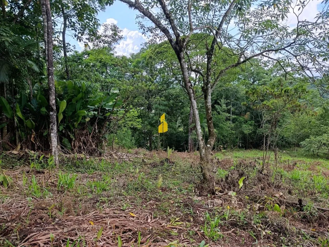 TERRENO NA CIDADE DE RIO DOS CEDROS/SC - Foto 4