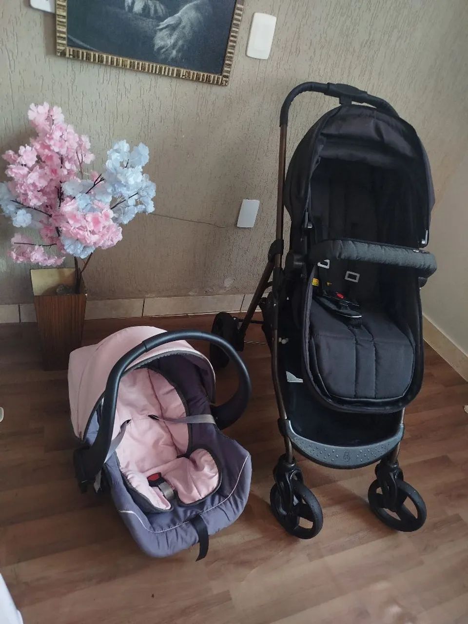 Carrinho Moisés ( acopla bebê conforto 