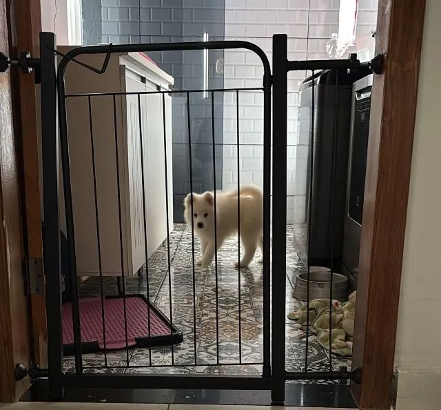 Portãozinho de segurança / grade de proteção / grade de segurança novos  - Foto 3