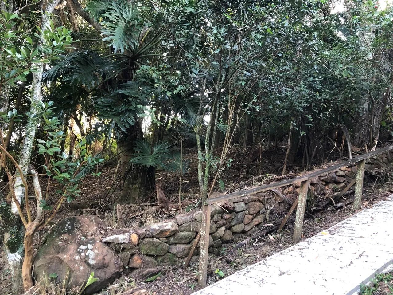 Terreno Ribeirão da Ilha  - Foto 2