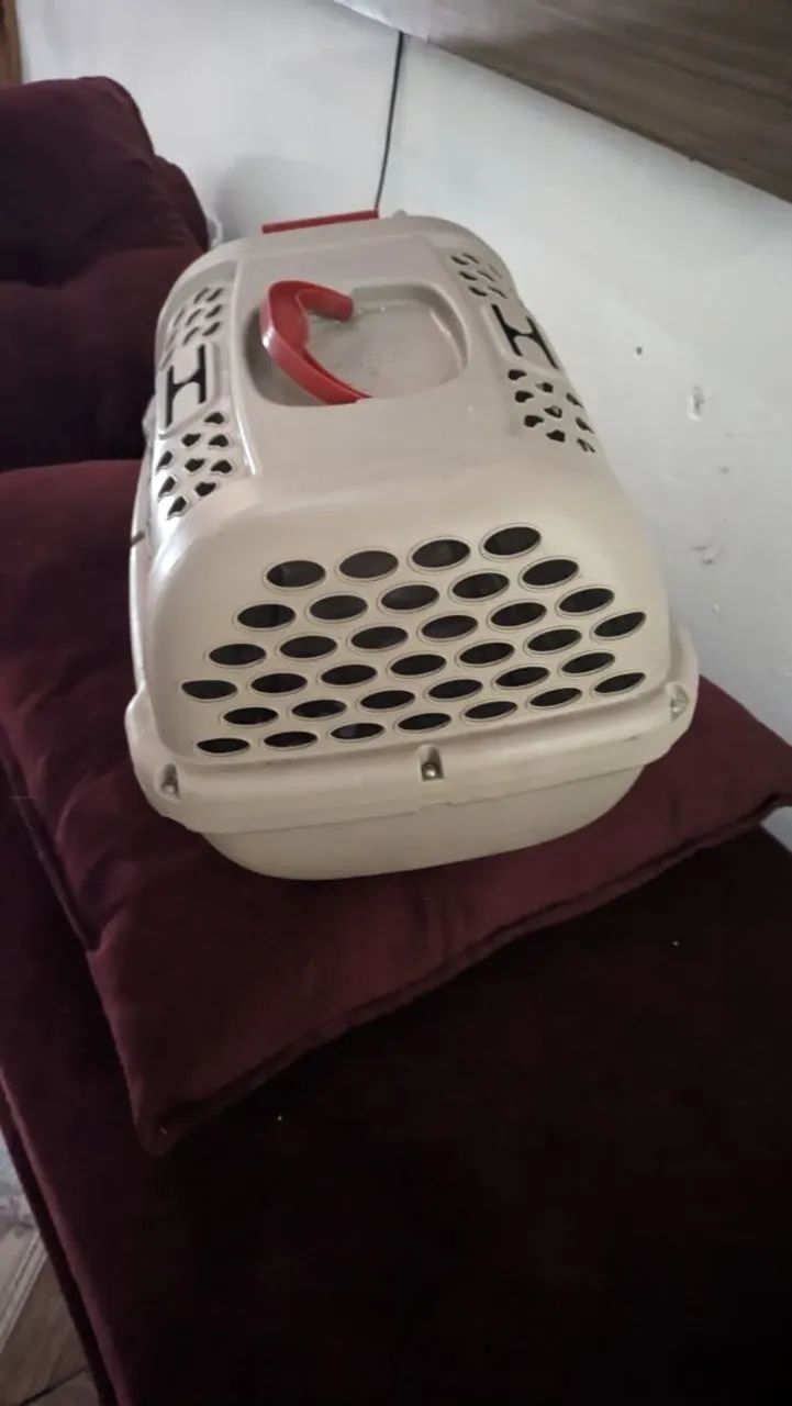 Caixa de transporte para animal  - Foto 4
