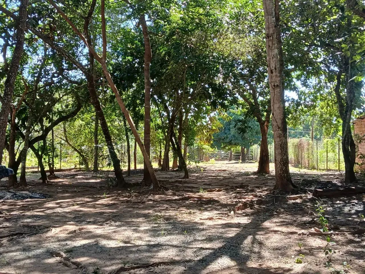 Chácara com conforto e tranquilidade! codigo: 325147 - Foto 5
