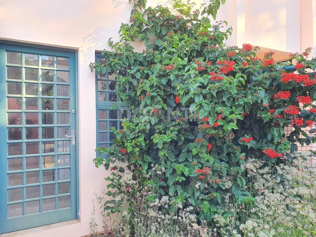 casa - Taquaral - Campinas - Foto 4