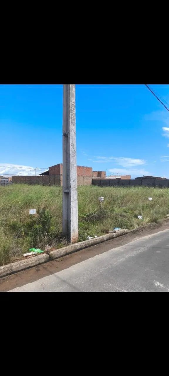 Vendo terreno no caburaí 3  - Foto 2